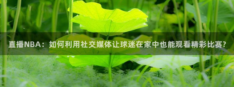 jr看直播nba：直播NBA：如何利用社交媒体让球迷在家中也能观看精彩比赛?