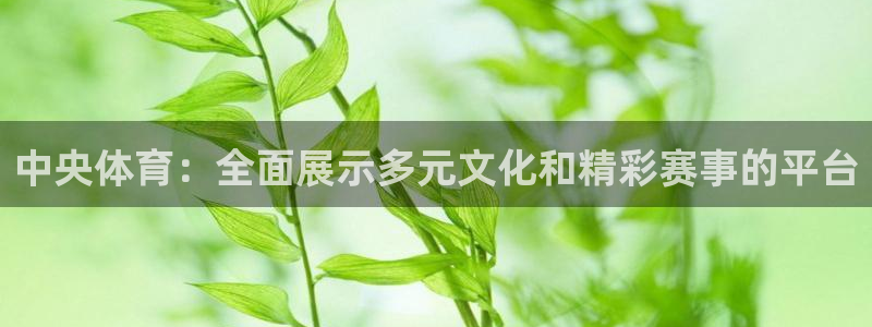 jrkan直播nba直播：中央体育：全面展示多元文化和精彩赛事的平台