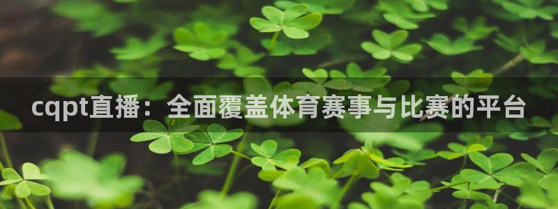 jrkan直播免费高清体育直播nba：cqpt直播：全面覆盖体育赛事与比赛的平台