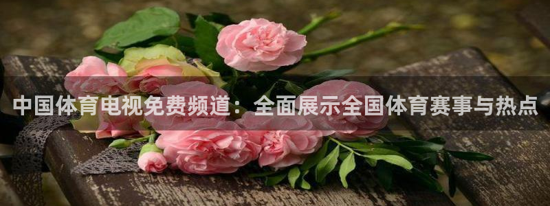 jrkan直播nba在线直播：中国体育电视免费频道：全面展示全国体育赛事与热点