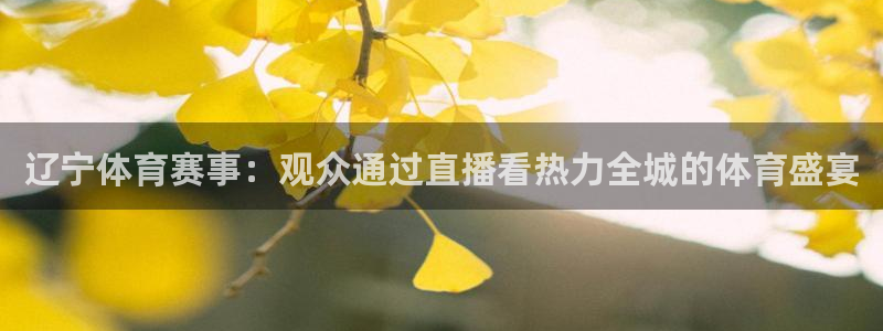 jrkan体育直播：辽宁体育赛事：观众通过直播看热力全城的体育盛宴