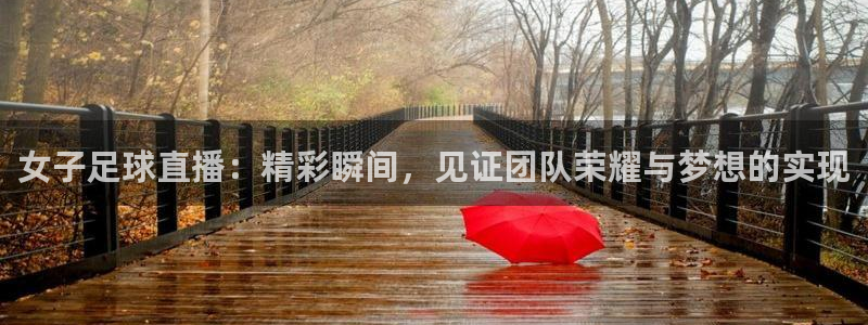 jrkan纬来直播nba：女子足球直播：精彩瞬间，见证团队荣耀与梦想的实现