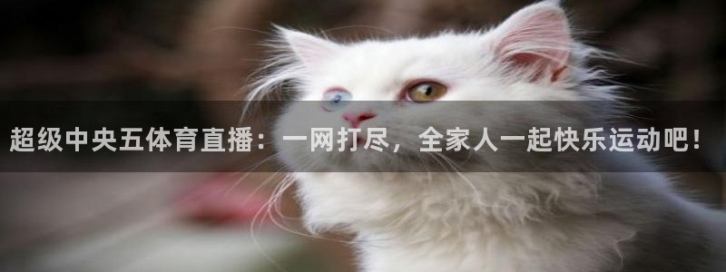 jrkan2023直播体育网：超级中央五体育直播：一网打尽，全家人一起快乐运动吧！
