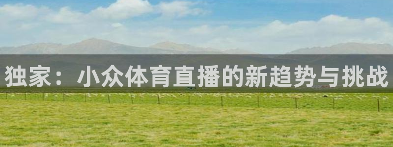 jr看直播nba：独家：小众体育直播的新趋势与挑战