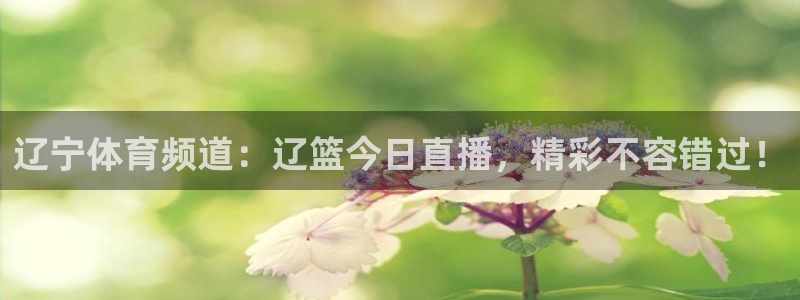 篮球直播jrkan：辽宁体育频道：辽篮今日直播，精彩不容错过！