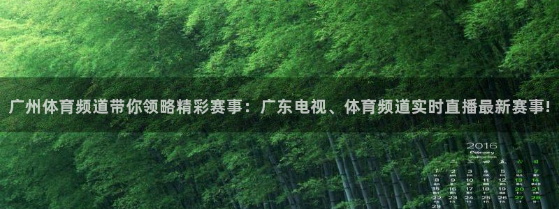 jrkan2023免费体育直播：广州体育频道带你领略精彩赛事：广东电视、体育频道实时直播最新赛事!